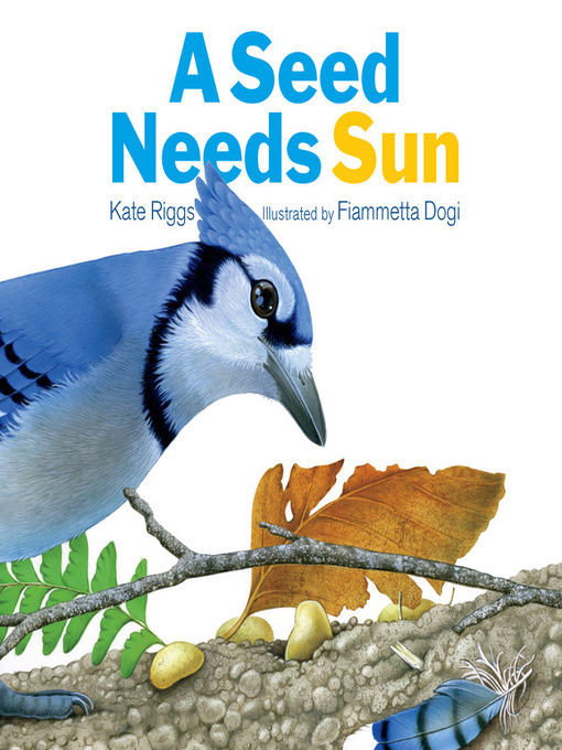 A Seed Needs Sun的封面图片